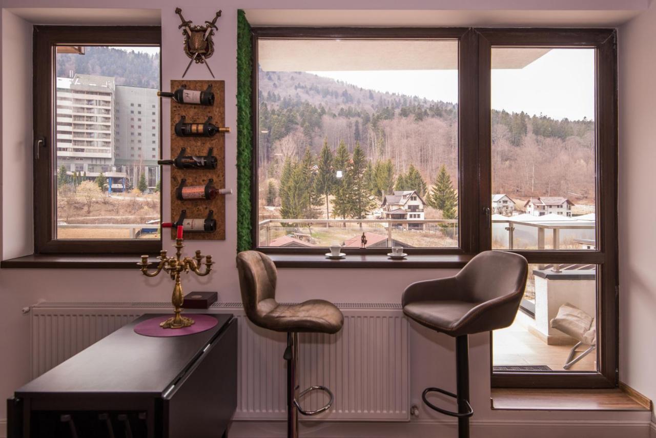 Castle Apartment Sinaia