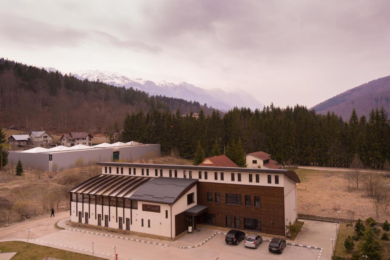 Apartment Castle Sinaia